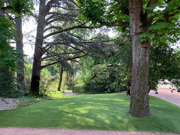 jardin gazon synthétique saccinto