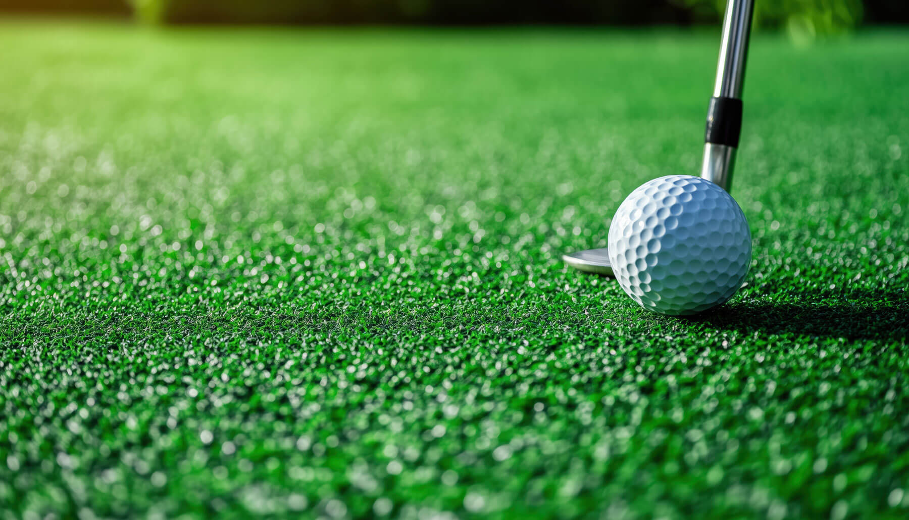 terrain de golf gazon synthétique saccinto